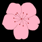 WWW,se922·COM网站APPAPP应用